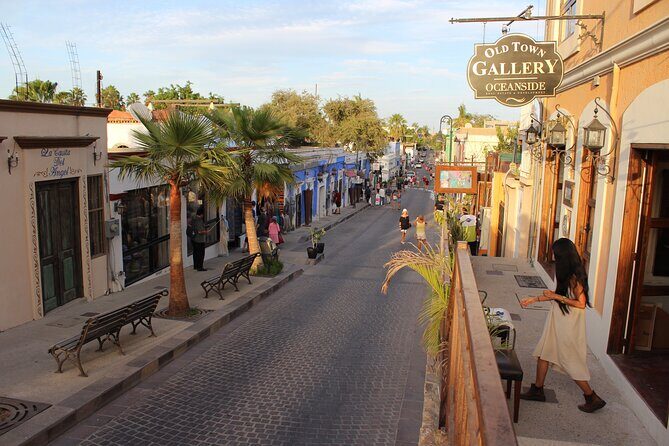 San Jose del Cabo Historic District Walking Tour - A Deep Dive into the San Jose del Cabo Walking Tour