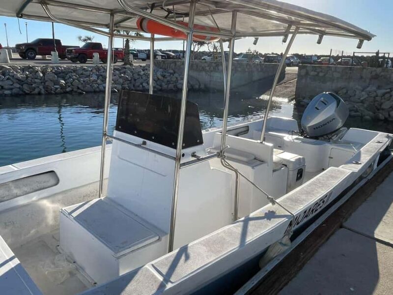 San José del Cabo: Private Fishing - Key Points