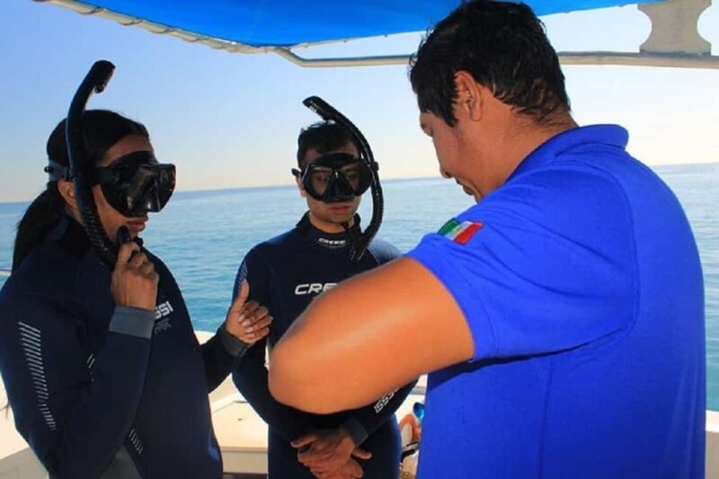 San José del Cabo: Private Snorkeling - Who Should Consider This Tour?