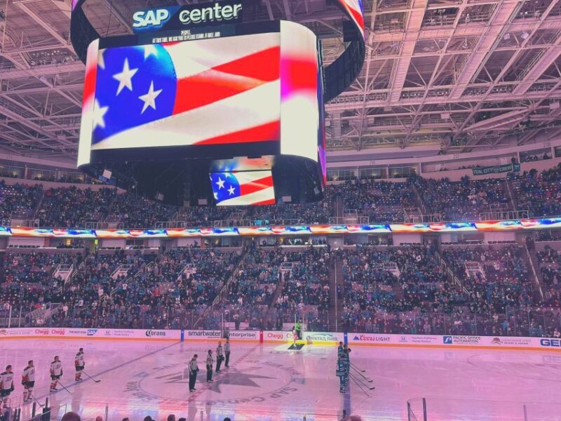 San Jose: San Jose Sharks Ice Hockey Game Ticket - Who Should Consider This Experience?