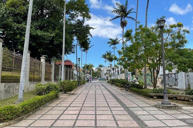 San Jose Walking City Tour -Private- - Real Traveler Insights and Considerations