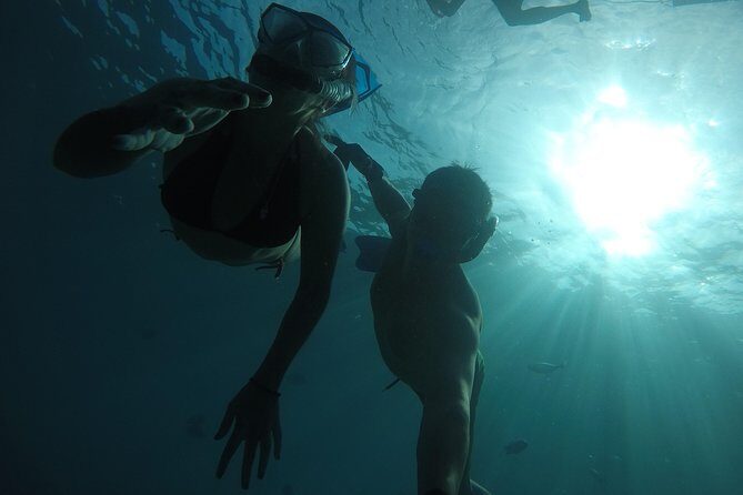 San Jose Wonders - Authentic Reviews from Travelers