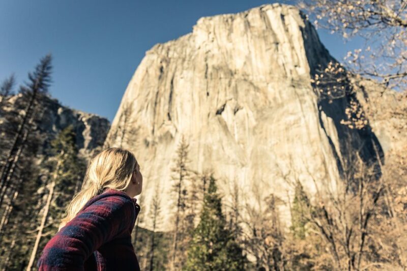 San Jose: Yosemite National Park and Giant Sequoias Trip - Final Words