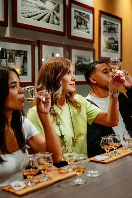 San Juan: Casa Bacardi Distillery Tour - Detailed Breakdown of the Experience