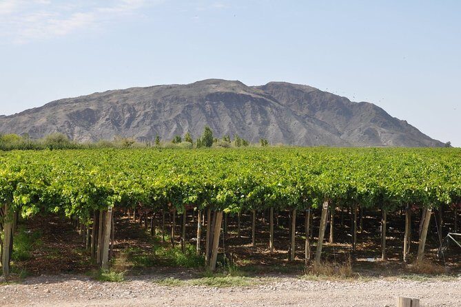 San Juan City tour and surroundings - In-Depth Review of the San Juan City Tour and Surroundings