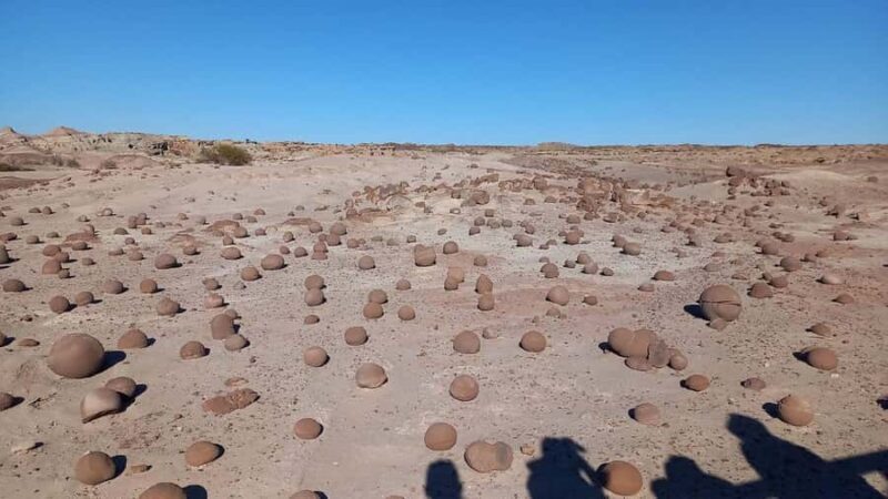 San Juan: Ischigualasto Park Valley of the Moon Tour - A Detailed Look at the Tour Experience