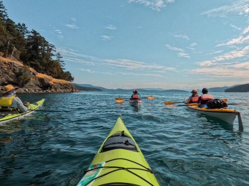 San Juan Island: 3-h Griffin Bay Tour - Who Should Consider This Tour?