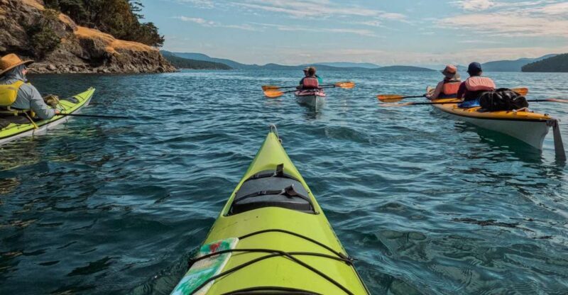 San Juan Island: 3-h Griffin Bay Tour - Final Thoughts: Is the Griffin Bay Kayak Tour Right for You?