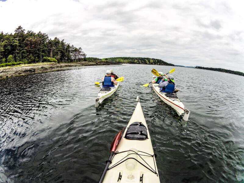 San Juan Island: Full Day Kayaking Tour with Lunch - A Deep Dive into the San Juan Island Kayaking Experience
