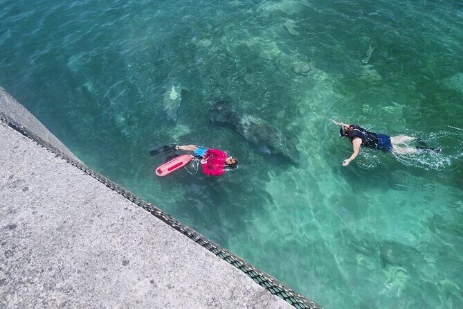 San Juan Snorkel with Turtles and Manatee's; Free Video and Rum! - A Deep Dive into the Snorkeling Adventure