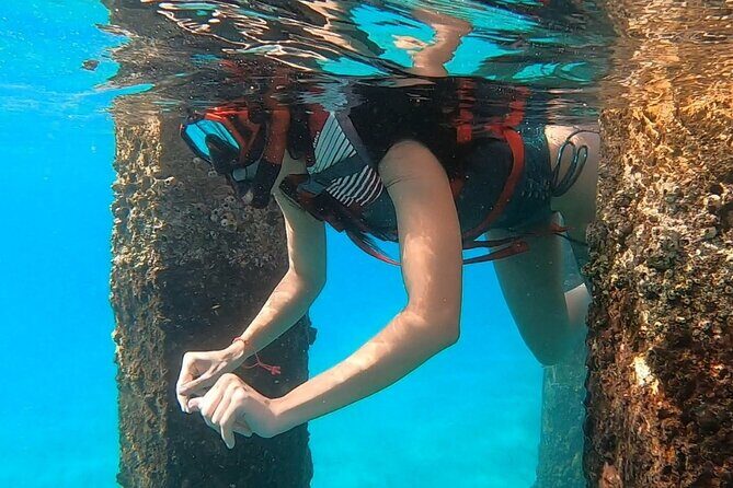 San Juan: Snorkeling with Turtles Adventure and Free Videos - Marine Life and Sightings: What Can You Expect?