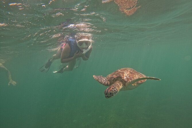 San Juan Turtle Spotting Snorkel Adventure with Videos - Who Should Consider This Tour?