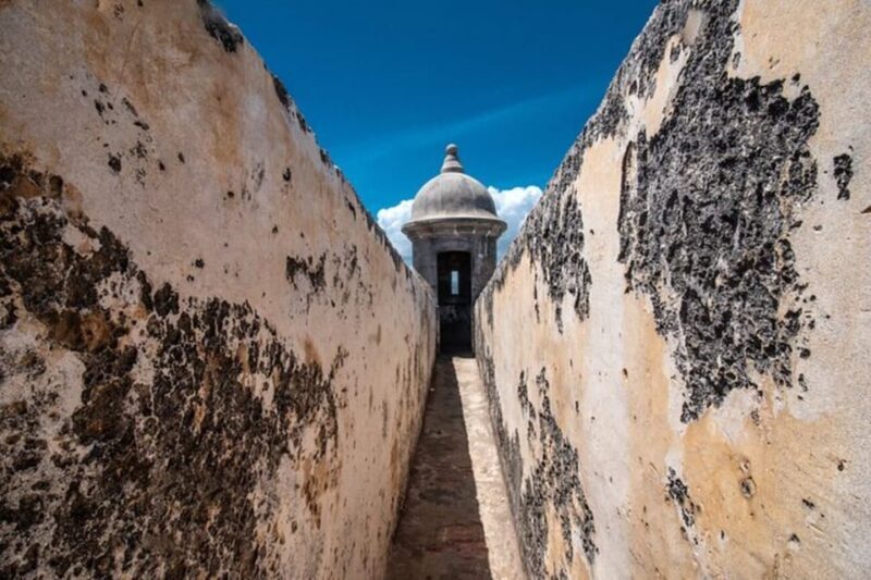 San Juan: Walking Tour with Expert Guide - Final Thoughts: Why This Tour is a Great Choice
