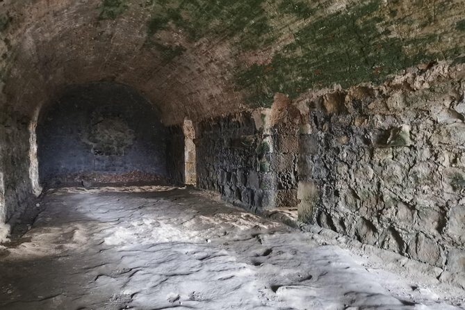 San Lorenzo Fort and Agua Clara-Gatun Locks Panama Canal Tour - Who Will Most Enjoy This Tour?