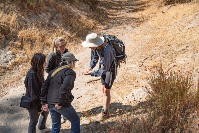 San Luis Obispo: Margarita Ranch Foraging Tour - The Sum Up: Who Should Consider This Tour?