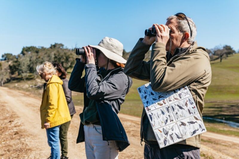 San Luis Obispo: Santa Lucia Guided Nature Tour - Exploring Santa Lucia: The Journey Begins