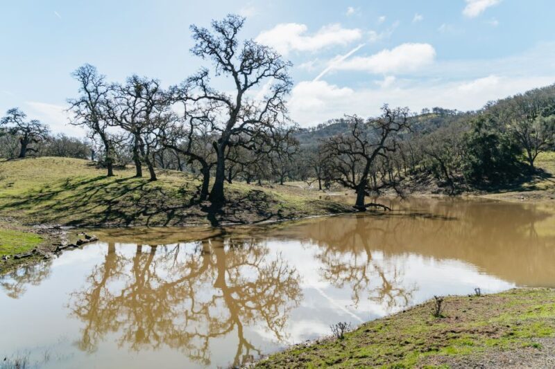 San Luis Obispo: Santa Lucia Guided Nature Tour - Who Should Consider This Tour?