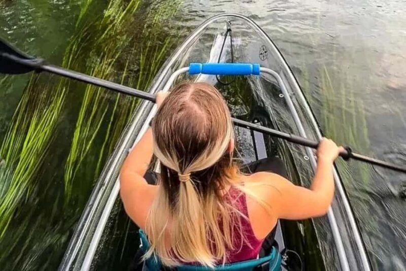 San Marcos: Clear Kayak Eco Tour on Spring-Fed River - An Authentic Texan Water Adventure