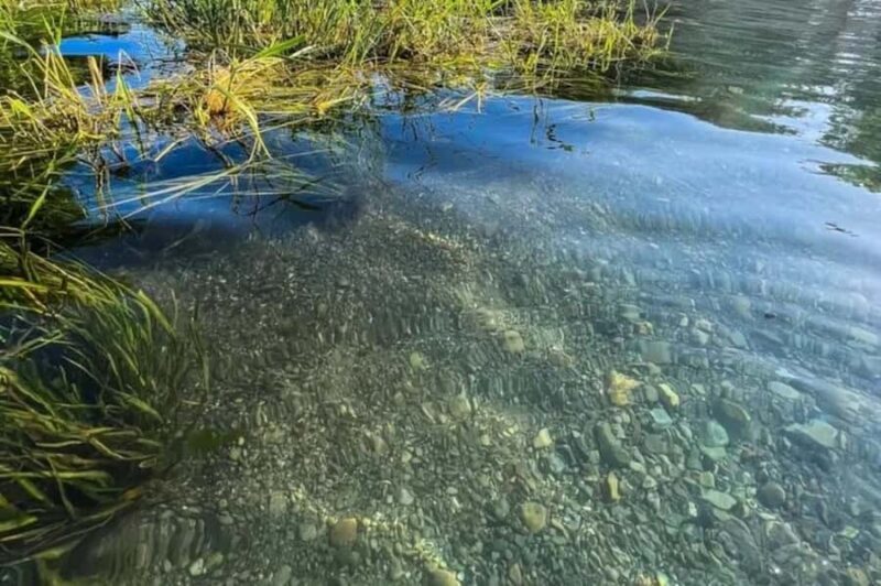 San Marcos: Clear Kayak Eco Tour on Spring-Fed River - Stops and Highlights