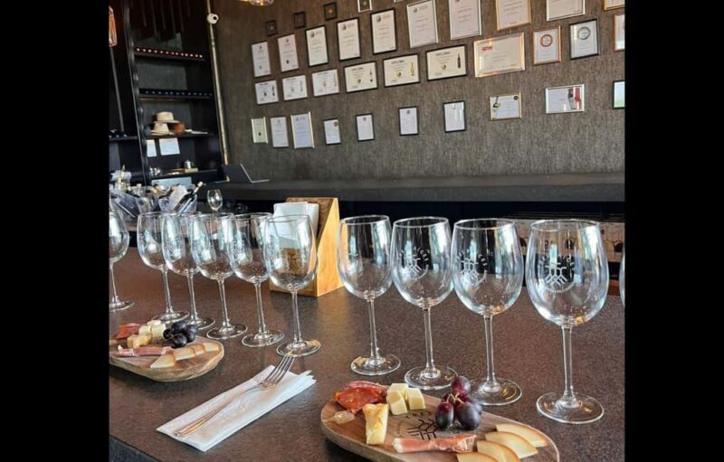 San Miguel Allende: Guanajuato Wine Route vineyard tour - An Honest Look at the Guanajuato Wine Route Vineyard Tour