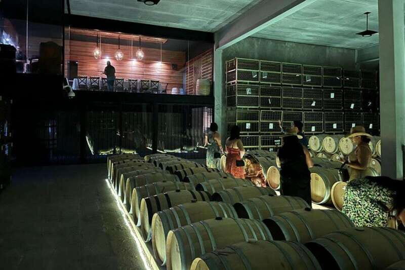 San Miguel de Allende: 3 or 5-Course Menu & Wine Pairing - Vineyard and Cellar Tour