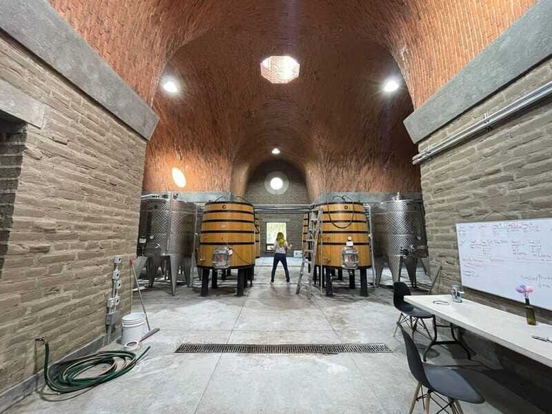 San Miguel de Allende: A Journey Through Vineyards - The Sum Up