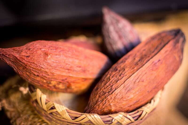 San Miguel de Allende: Chocolate Tasting and Walking Tour - Practical Details and Considerations