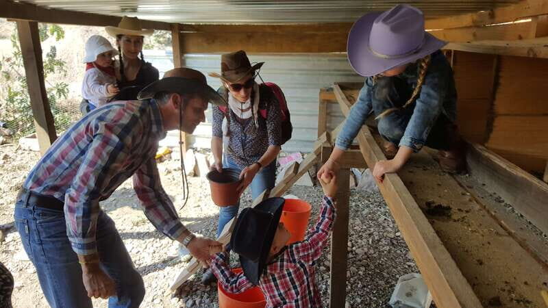 San Miguel de Allende: Full-Day Ranch Adventure - An In-Depth Look at the Full-Day Ranch Adventure