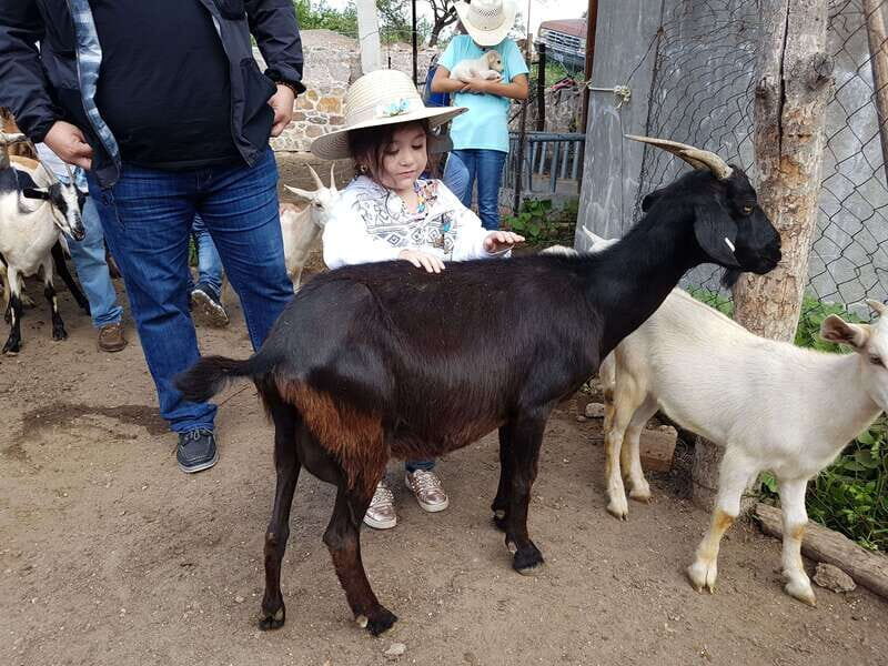 San Miguel de Allende: Full-Day Ranch Adventure - The Sum Up