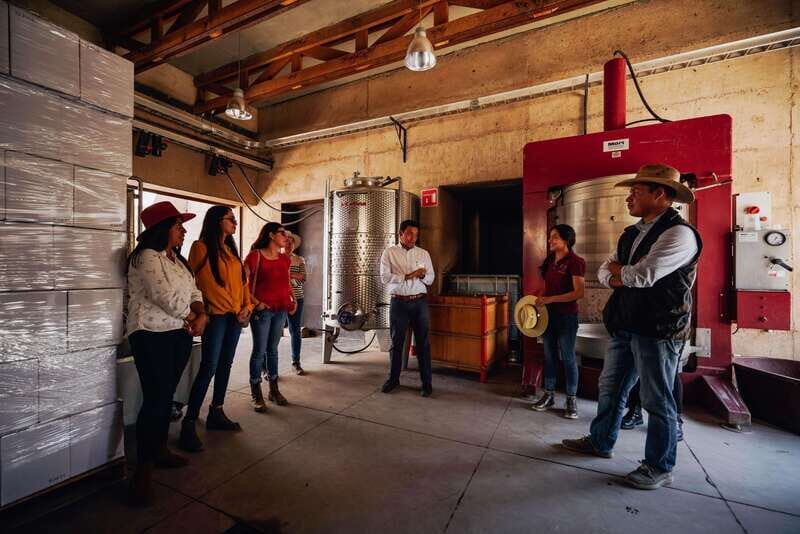 San Miguel de Allende: Independence Valley Wine Route - FAQs about the San Miguel de Allende: Independence Valley Wine Route