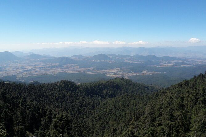 San Miguel de Allende Monarch Butterflies Tour - Key Points