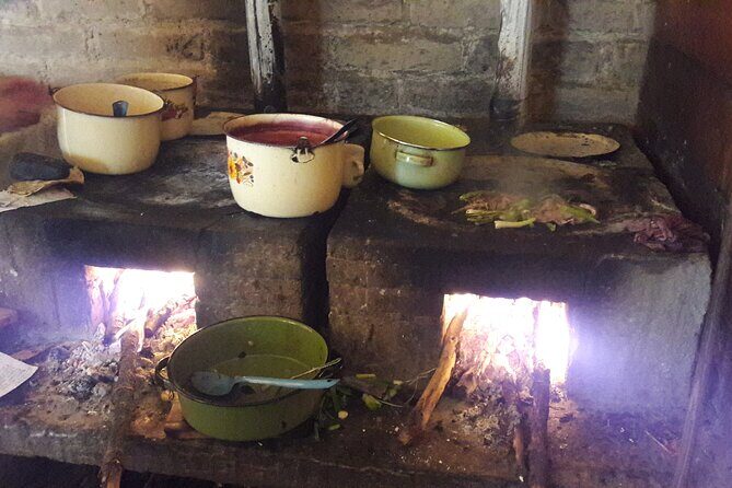 San Miguel de Allende Monarch Butterflies Tour - FAQs