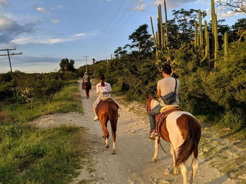 San Miguel: Romantic Horseback Riding at Sunset - An In-Depth Look at the Sunset Horseback Ride in San Miguel