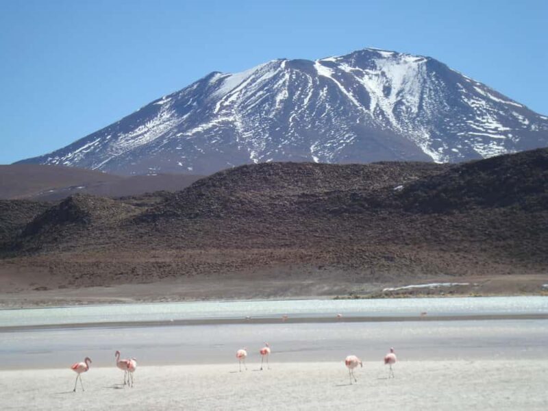 San Pedro de Atacama: 3 D. Tour Uyuni and Back to San Pedro - What’s Included and Practical Details