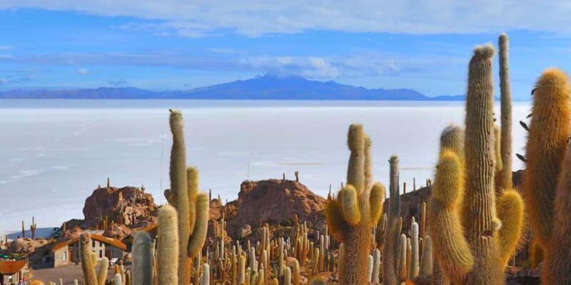 San Pedro de Atacama: 3 days at the Uyuni Salt Flat - Key Points