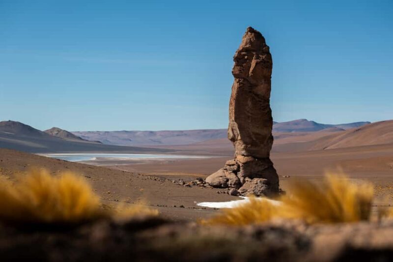 San Pedro de Atacama: Atacama Desert and Salt Flats Day Trip - Key Points