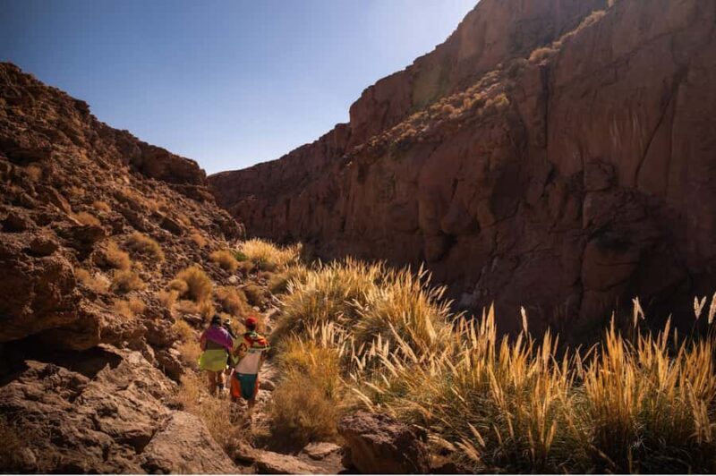 San Pedro de Atacama: Canyon Swimming Pools Trekking Trip - Who Should Consider This Tour?