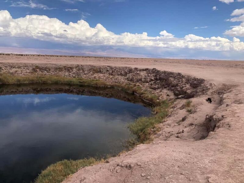 San Pedro de Atacama: Cejar Lagoon, Tebenquiche & Ojos Salar - Practical Details and Considerations
