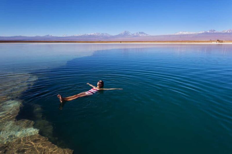 San Pedro de Atacama: Laguna Cejar Half-Day Guided Tour - Key Points