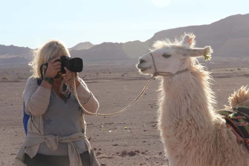 San Pedro de Atacama: Lhamas Caravan - Who Should Consider This Tour?