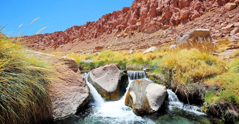 San Pedro de Atacama: Puritama Hot Springs Half-day Tour - Who Will Love This Tour?