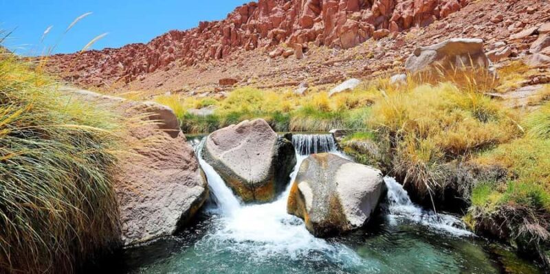 San Pedro de Atacama: Puritama Hot Springs - Authentic Experiences and Traveler Feedback