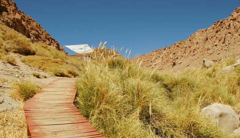 SAN PEDRO DE ATACAMA: PURITAMA HOT SPRINGS WITH ENTRANCE FEE - Why This Tour Offers Good Value