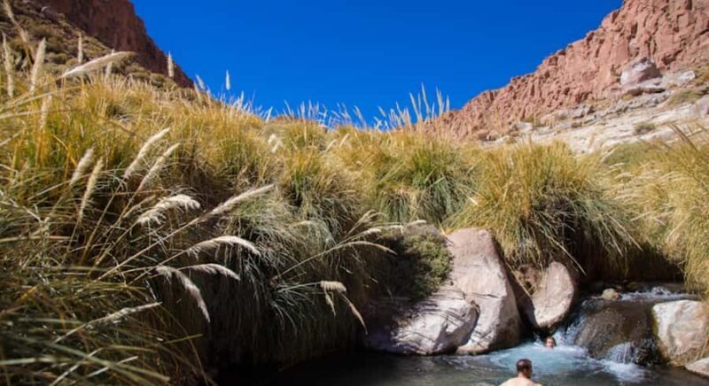 SAN PEDRO DE ATACAMA: PURITAMA HOT SPRINGS WITH ENTRANCE FEE - Practical Tips for Your Visit