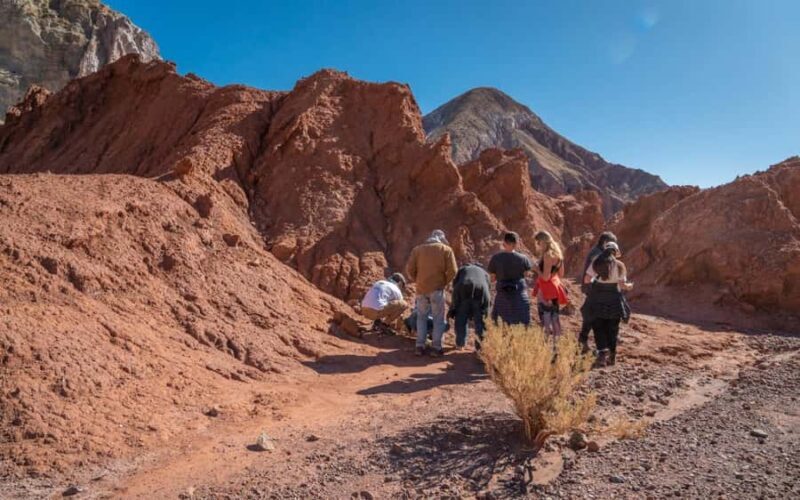 San Pedro de Atacama: Rainbow Valley and Petroglyphs Tour - An In-Depth Look at the Rainbow Valley and Petroglyphs Tour