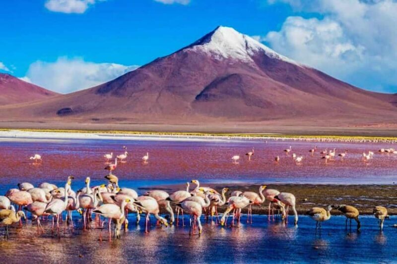 San Pedro de Atacama: Red Stones, Atacama Salt Flats, Lakes - Key Points