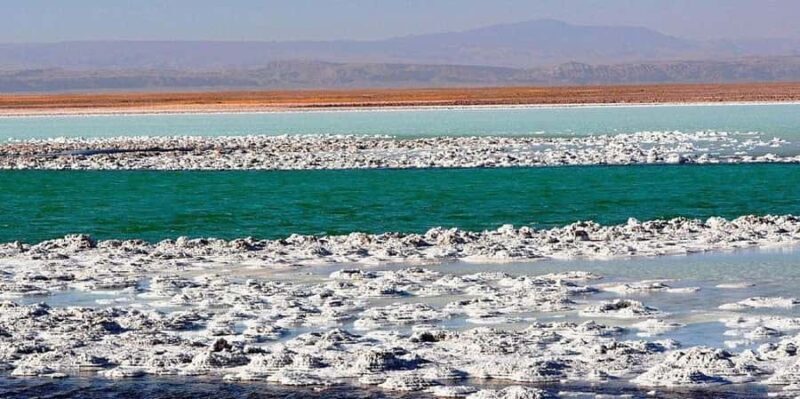 San Pedro de Atacama: Tour of Salar de Atacama Lagoons - Experience the Salty Beauty of Salar de Atacama: Lagoons Tour
