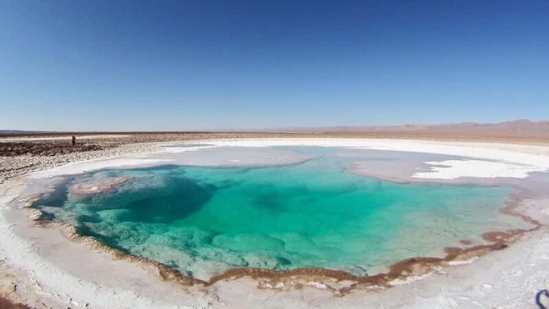 San Pedro de Atacama: Trip to Hidden Lagoons of Baltinache - Key Points