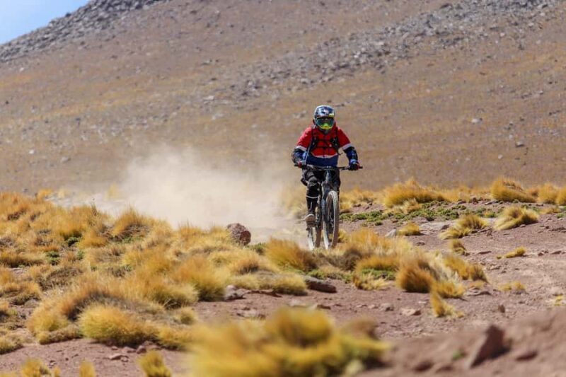 San Pedro de Atacama: Volcano Downhill Bike Tour - A Detailed Look at the Volcano Downhill Bike Tour