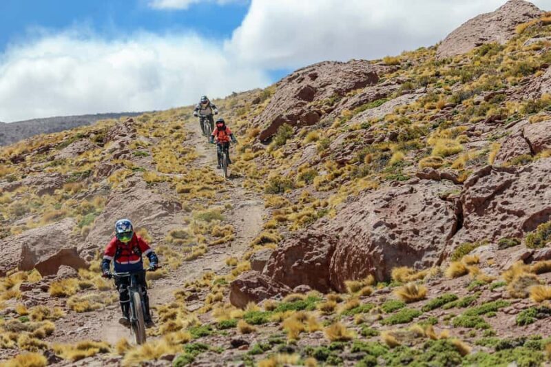 San Pedro de Atacama: Volcano Downhill Bike Tour - Who Would Love This Tour?